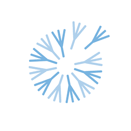 Company Logo for any2any